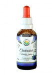 Krople bezalkoholowe Eleuterokok 50 ml - Salvia Paradise