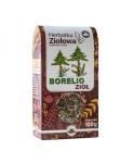 Boreliozioł herbatka ziołowa 100 g - Natura Wita