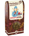 Gropozioł herbatka ziołowo-owocowa 80 g - Natura Wita