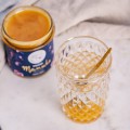 Miód Manuka nektarowy MGO 250+ 450 g - Pasieki Rodziny Sadowskich