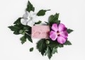 Mydło Hibiskus 100 g - Ministerstwo Dobrego Mydła