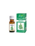Olejek eteryczny naturalny Oregano 10 ml - Etja