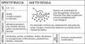 Nawilżająco-transformujący olejek myjący z 2% ekstraktem z imbiru i witaminą E Oil To Milk 290 ml - Veoli Botanica