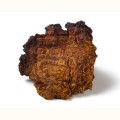 Chaga Błyskoporek podkorowy ekstrakt 400 mg 90 kapsułek - Biowen
