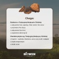 Chaga Błyskoporek podkorowy ekstrakt 400 mg 90 kapsułek - Biowen