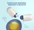 Lipocaps Witamina D3 4000 IU liposomalna 60 kapsułek - ForMeds