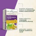 Herbatka na Opuchnięcia z przytulią fix 20 x 2 g (saszetki) - Herbapol Kraków
