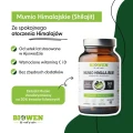 Mumio himalajskie shilajit 90 kapsułek - Biowen