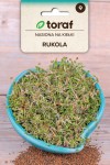 Rukola nasiona na kiełki 10 g - Toraf