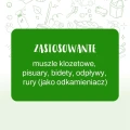 Żel do WC Sosnowy 750 ml - Zielko