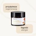 Krem brzozowo-nagietkowy z betuliną 50 ml - Sylveco