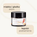 Krem brzozowo-rokitnikowy z betuliną 50 ml - Sylveco