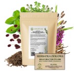 Herbatka ziołowa helicobacter pylori 75 g - Ziołowy Raj